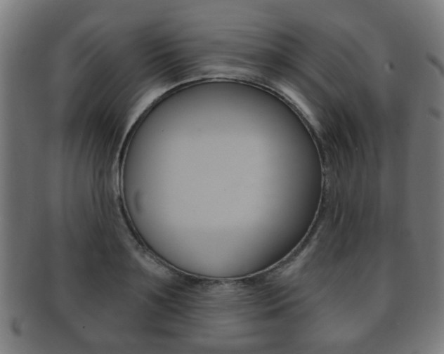 X0000091910891200709051209
