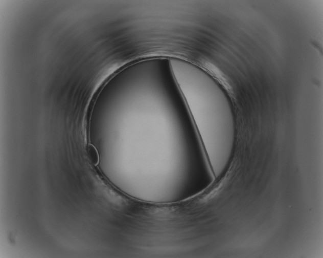 X0000091910892200709051209