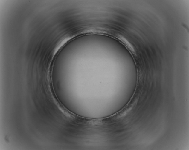 X0000091910893200709051209