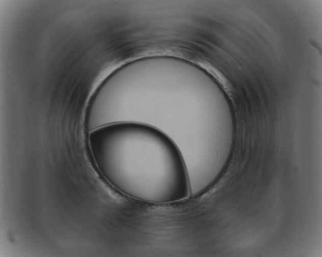 X0000091910894200709051209