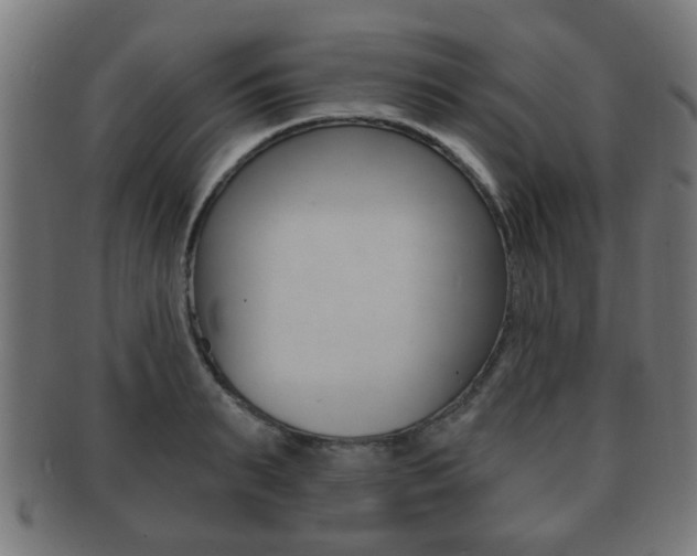 X0000091910895200709051209