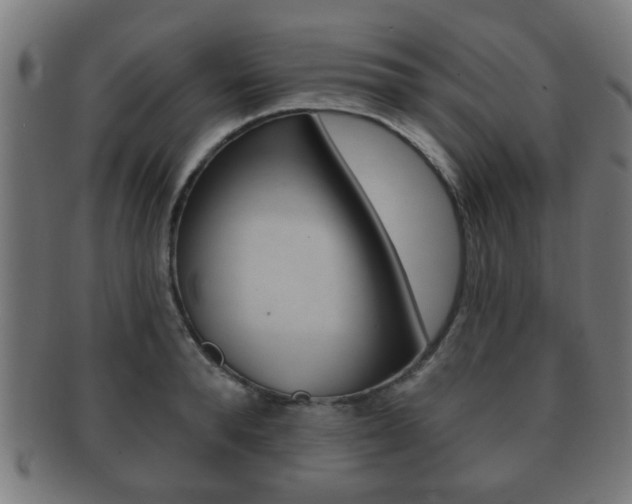 X0000091910896200709051209