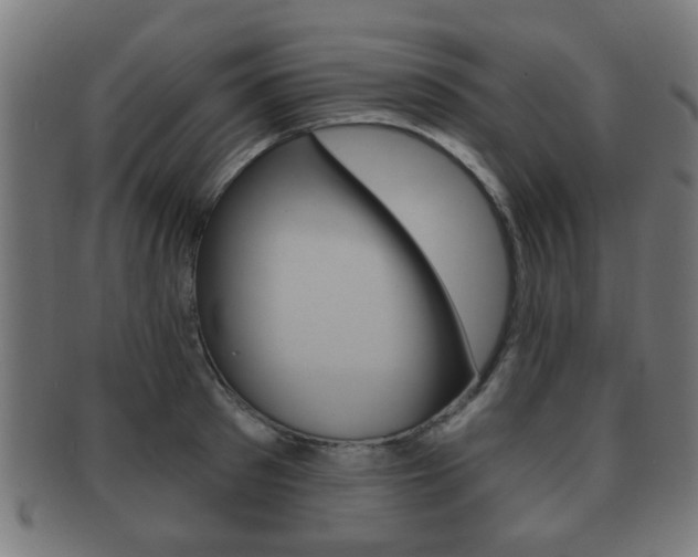 X0000091910897200709051209
