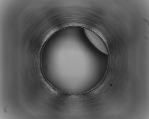 X0000091910898200709051209