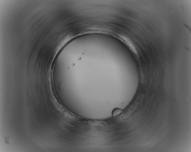 X0000091910899200709051209