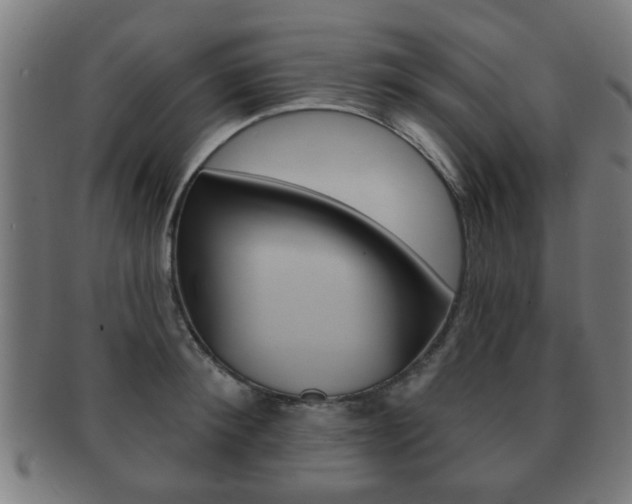 X0000091910900200709051209