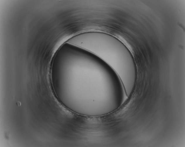 X0000091910901200709051209
