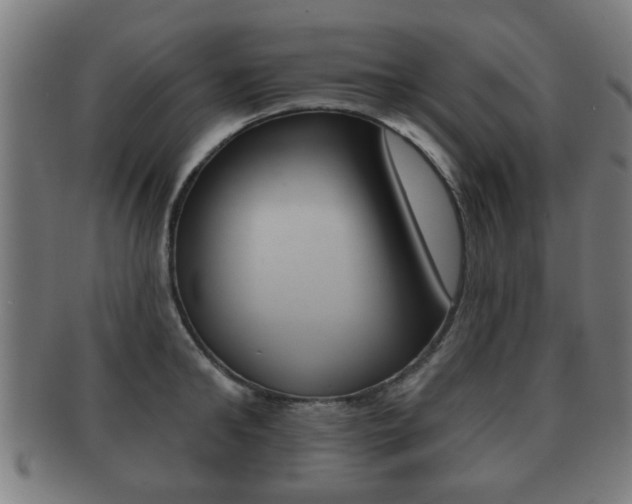 X0000091910902200709051209