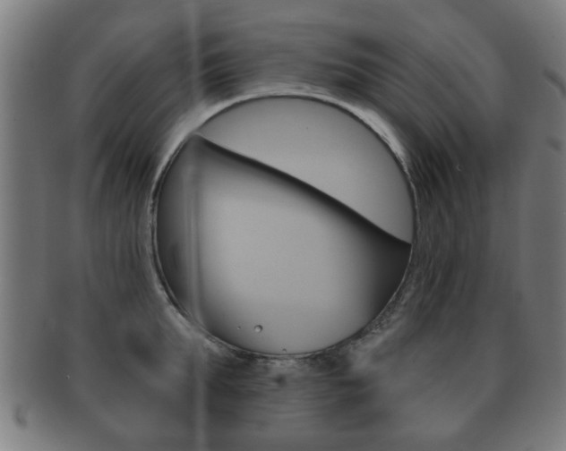 X0000091910903200709051209