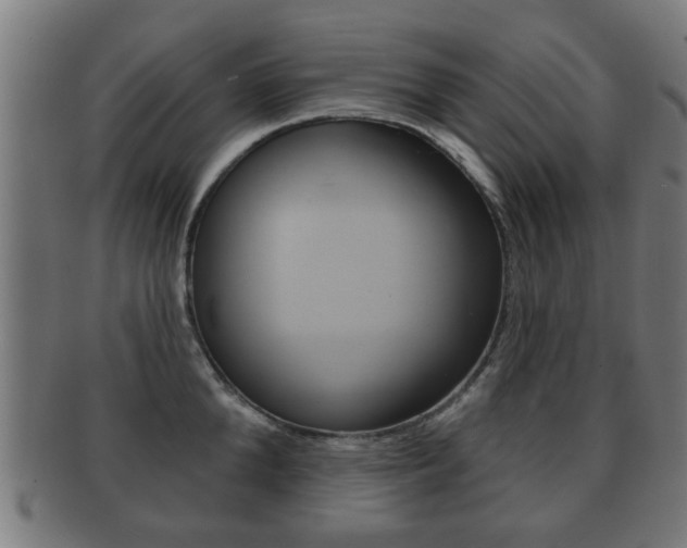 X0000091910904200709051209