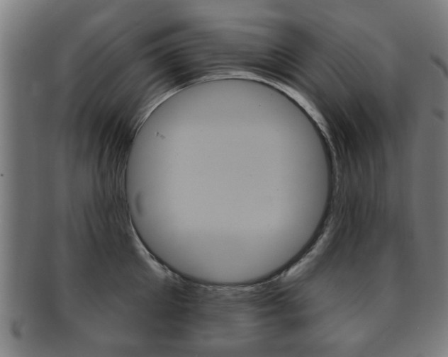 X0000091910905200709051209