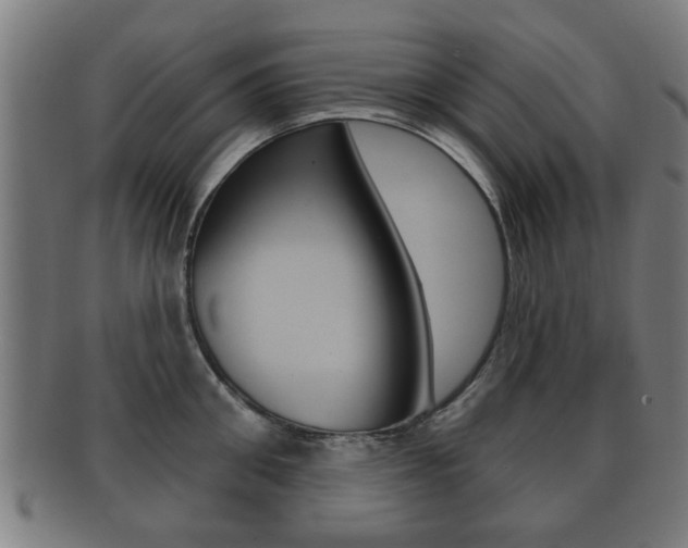 X0000091910906200709051209