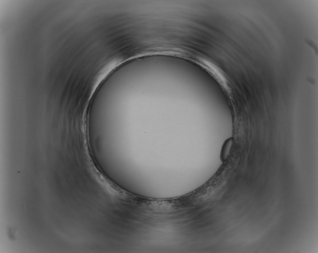 X0000091910907200709051209