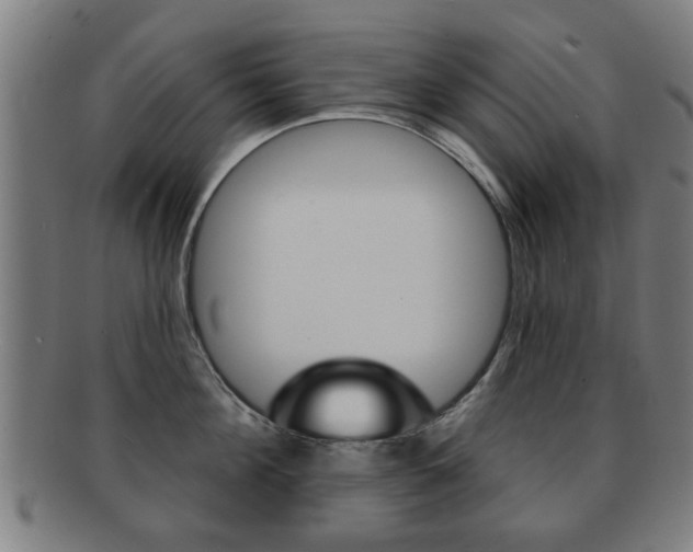 X0000091910908200709051209