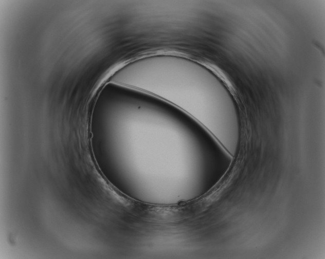 X0000091910910200709051209