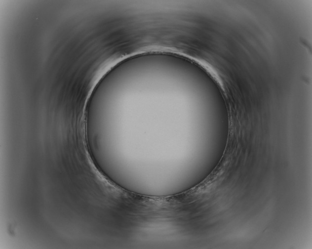 X0000091910911200709051209