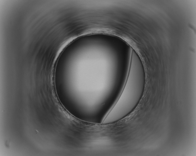 X0000091910912200709051209