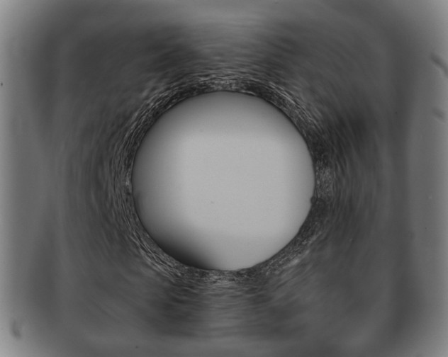 X0000091910913200709051208