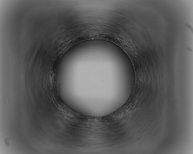 X0000091910914200709051208