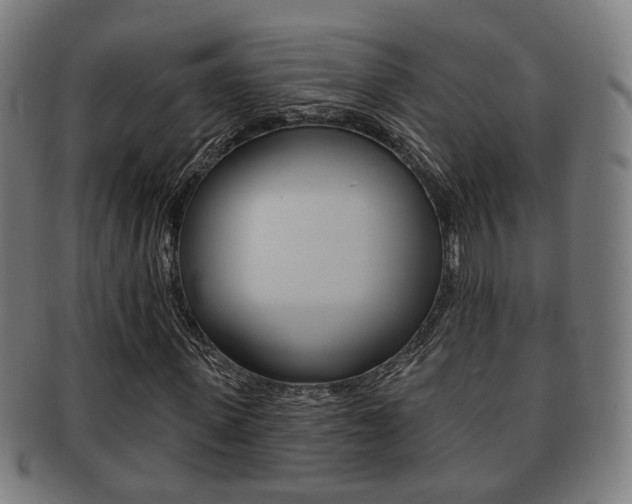 X0000091910915200709051208