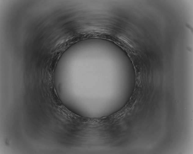 X0000091910917200709051208