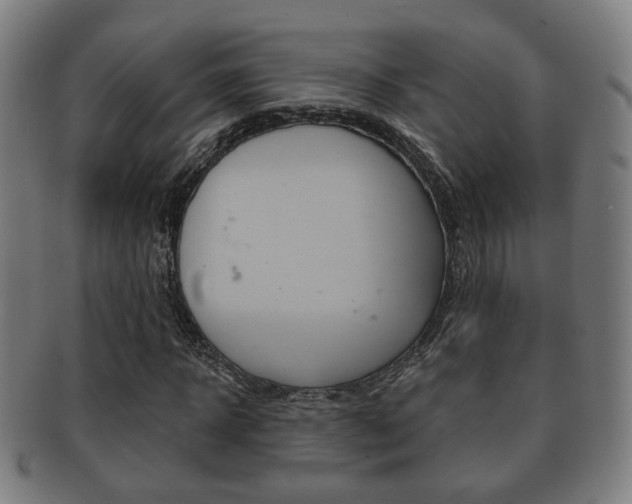 X0000091910918200709051208