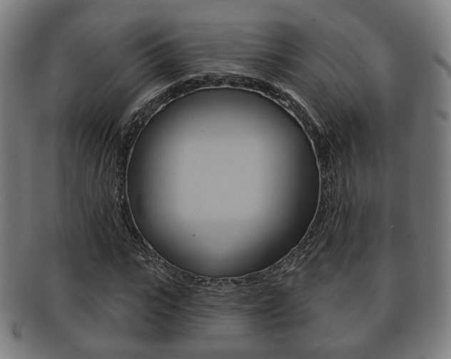 X0000091910919200709051208