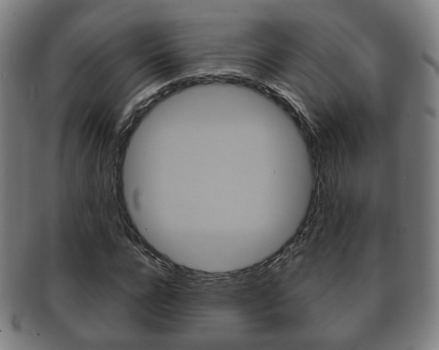 X0000091910920200709051208