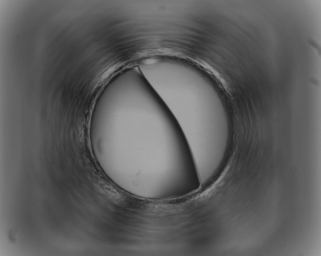 X0000091910921200709051208
