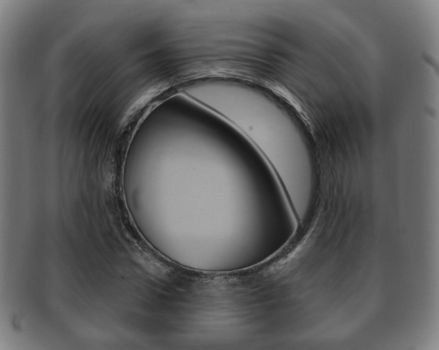 X0000091910922200709051208