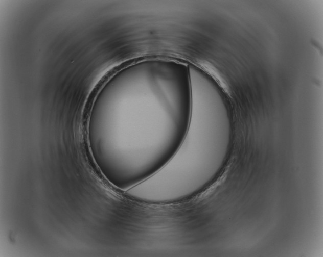 X0000091910924200709051208