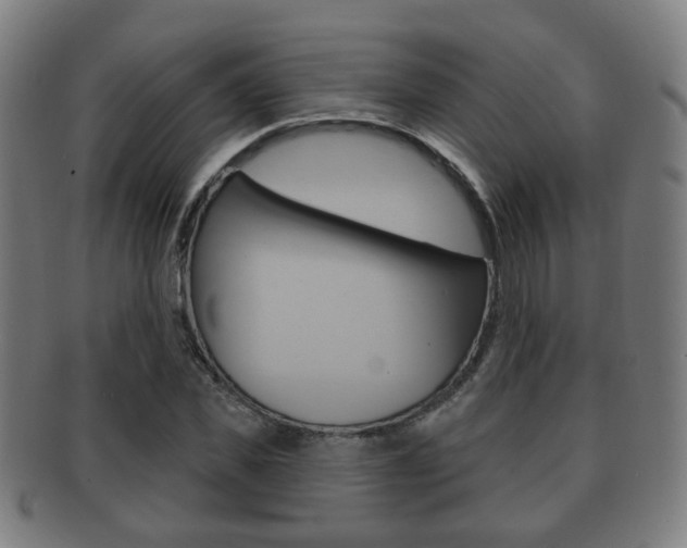 X0000091910925200709051208