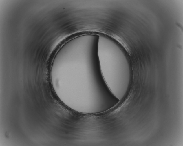 X0000091910926200709051208
