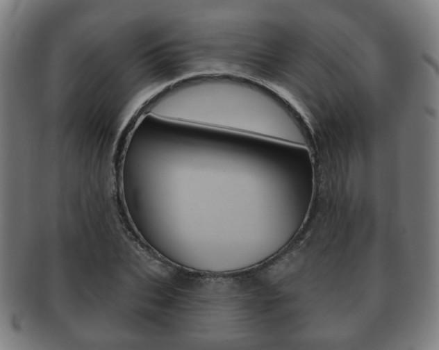 X0000091910927200709051208