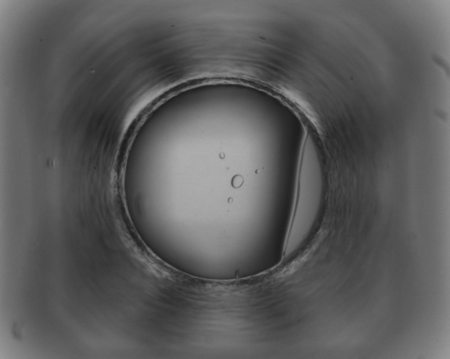 X0000091910928200709051208