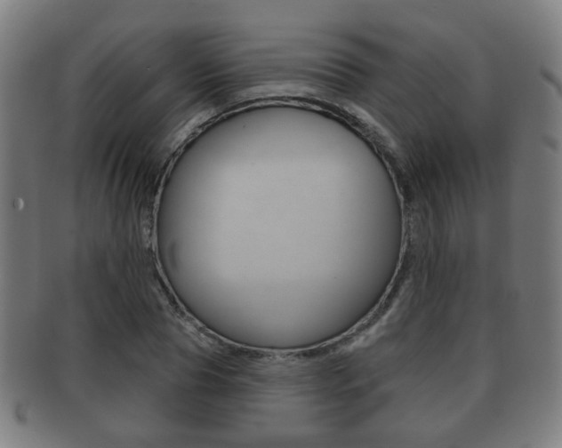 X0000091910929200709051208
