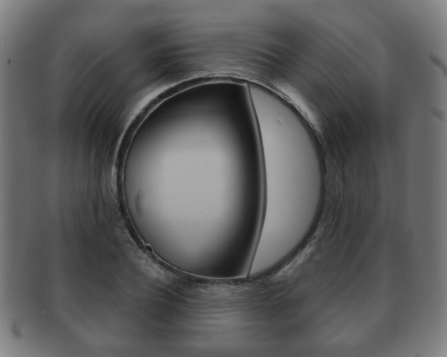X0000091910932200709051209