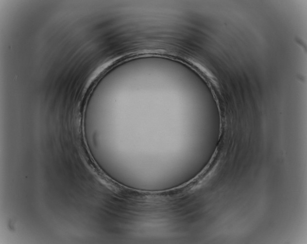 X0000091910933200709051209