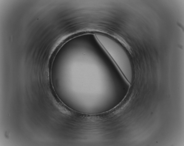 X0000091910934200709051209
