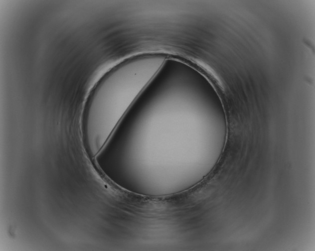 X0000091910935200709051209