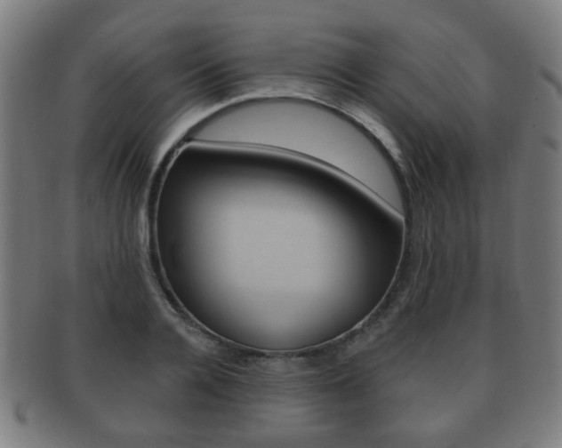 X0000091910936200709051209
