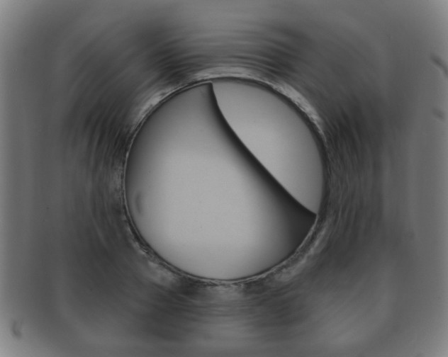 X0000091910937200709051209