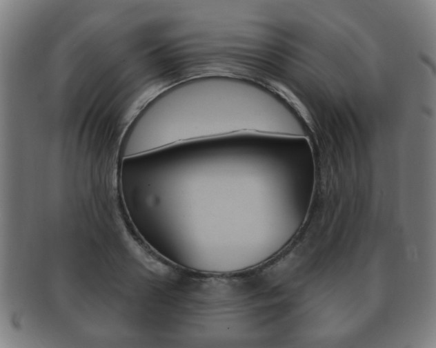 X0000091910938200709051209