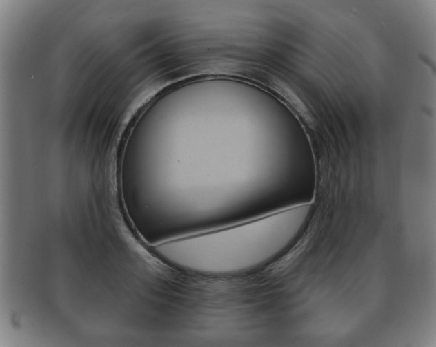X0000091910939200709051209