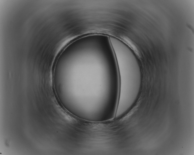 X0000091910940200709051209