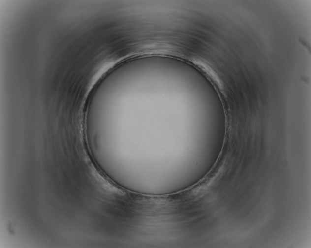 X0000091910941200709051209
