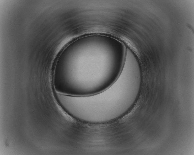 X0000091910942200709051209