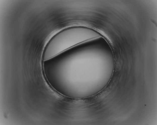 X0000091910943200709051209