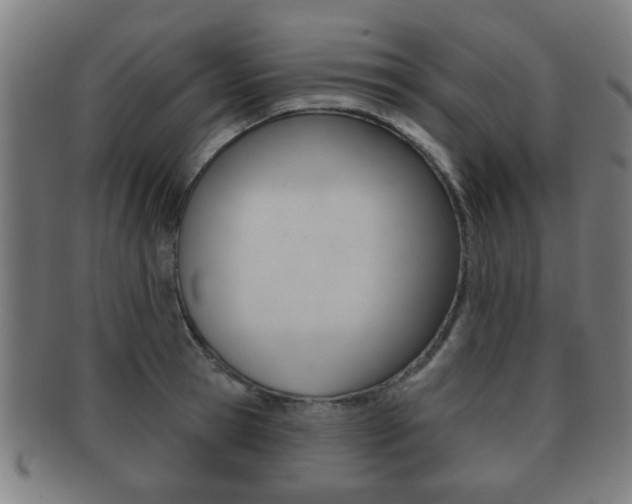 X0000091910945200709051209
