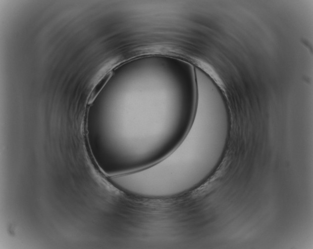 X0000091910946200709051209